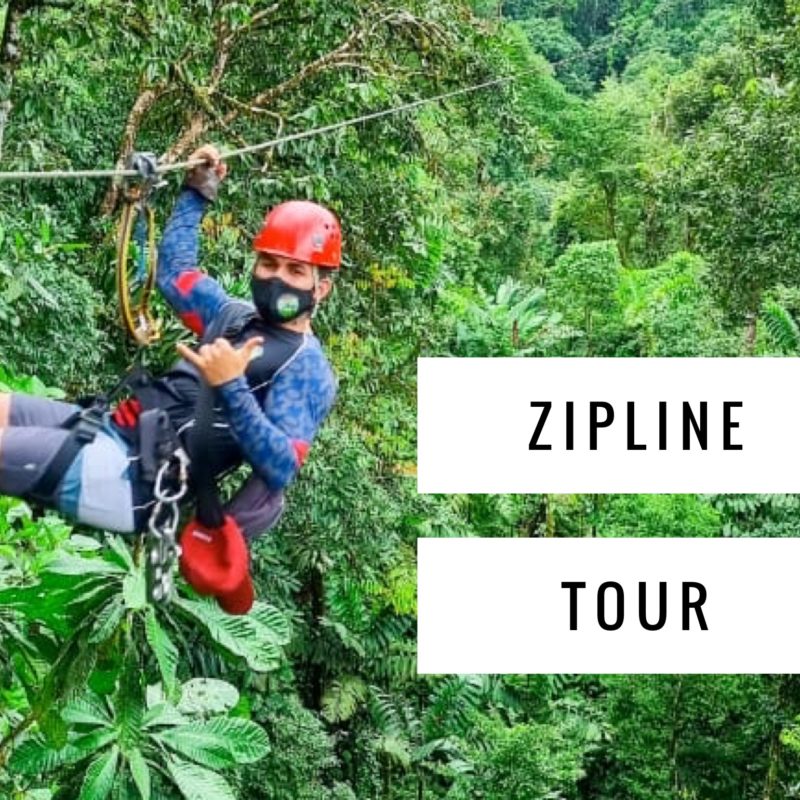 osa canopy tours zipline